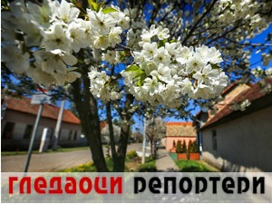 Гледаоци репортери (20. април 2022)