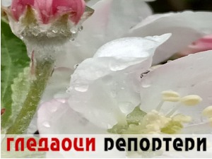 Гледаоци репортери (21. април 2022)