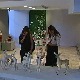 Филозофија и… Антика