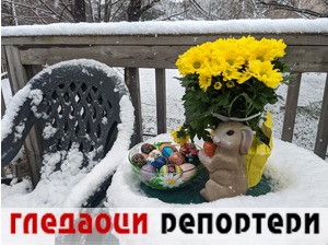 Гледаоци репортери (25. април 2022)