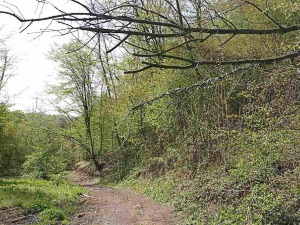 Пронађено тело младића из Трстеника