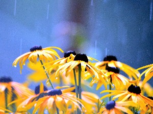 Наставља се променљиво априлско време – топло уз пљускове