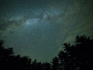 Ритам звезда - Инструментална музика  