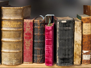 Претпоноћни тренуци - Стихови Милована Данојлића - Данило Срећковић