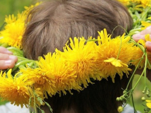 Ђурђевдан у Крагујевцу, међу Ромима и у Шведској