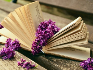 Претпоноћни тренуци - Песме Васка Попе, Циклус Далеко у нама - Марко Николић