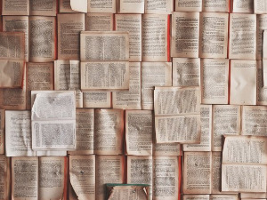 	Претпоноћни тренуци - Мирис ружа, Одабрани песници - Данило Срећковић, Бранислав Јеринић... 