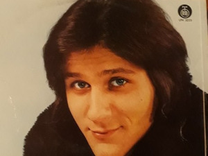 Портрет - Боба Стефановић