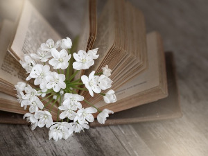 Претпоноћни тренуци - Лирика Иве Андрића - Владислав Мијушковић