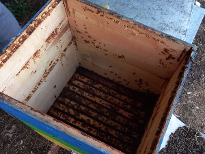 Украдена 41 кошница у пожешком селу Средња Добриња, штета неколико хиљада евра