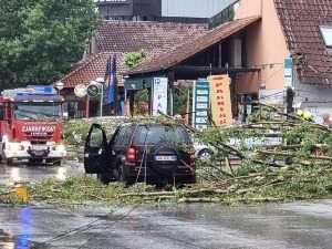 Невреме обарало дрвеће и електричне стубове у Приштини, погинуо мушкарац