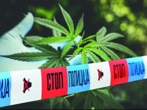 Заплењено више од пет килограма наркотика, осумњичени покушао да побегне