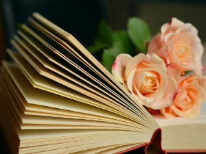  Претпоноћни тренуци - Силвија Плат - Циклус Заметак у боци - Милена Шишкин 