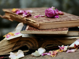 Претпоноћни тренуци - Сребрно доба, Шпански песници генерације 27 - Зоран Петровић 