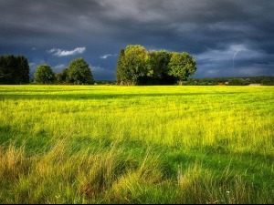 Сунчано и веома топло, после подне могуће непогоде