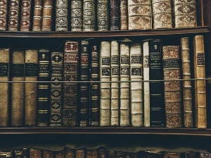 У друштву песника - Песме Јоханеса Бобровског - Милутин Бутковић 