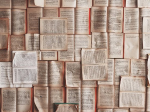 	У друштву песника - Песма Новице Тадића - Дејан Чавић