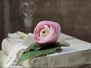 	У друштву песника - Песме Бранислава Петровића - Бранко Вујовић 