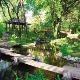 Београдско благо - Ботаничка башта Јевремовац