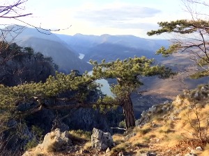Члан филмске екипе настрадао падом са Бањске стене на Тари