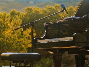 Гласне жице