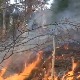 Гори ниско растиње на Дивчибарама, ватрогасци дежурају и током ноћи