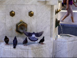 Врућина стеже обруч, субота најтоплији дан – до 40 степени