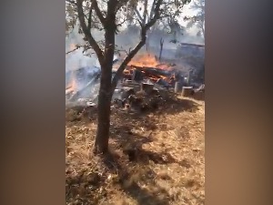 Локализовани пожари на Дивчибарама, код Неготина и Краљева, гори сува трава код Алексинца