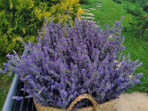 Наредна два дана све топлије, освежење стиже у уторак увече