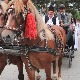 Траг-Нушићијада