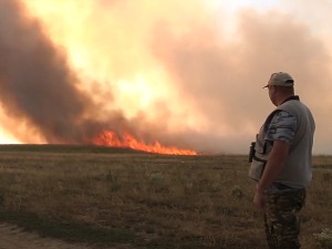 Пожар у резервату "Пашњаци велике дропље" на северу Баната под контролом