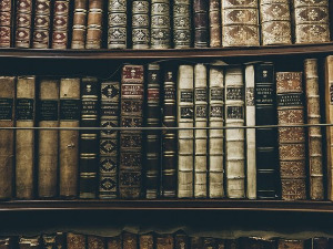  У друштву песника - Песме Едварда Еслина Камингса - Богдан Михаиловић 