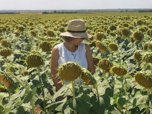 Знање имање- 31.7.2022.