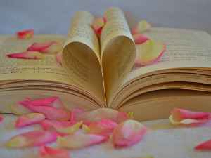 У друштву песника - Песме Новице Тадића - Жарко Обрачевић 