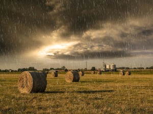 Наоблачење са пљускови у централним и јужним деловима земље