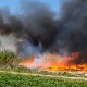 Kинеској трсци поплава и пожар не могу ништа – да ли може да замени традиционални начин грејања 