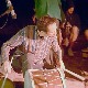 Камера је присутна: Бам бам Дрводух