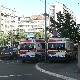 Девојка скочила са Панчевачког моста, пецарош је извукао из воде