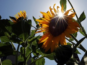 Да ли се лето продужава – Недељко Тодоровић открива какво нас време очекује у септембру