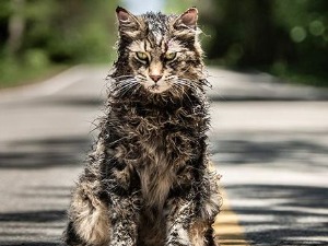 Гробље кућних љубимаца