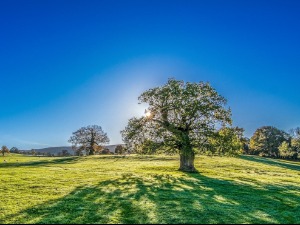Враћа се сунце, температура до 28 степени