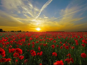 Мање облака, више сунца - температура до 31 степен