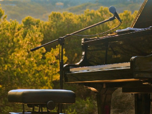 Гласне жице 