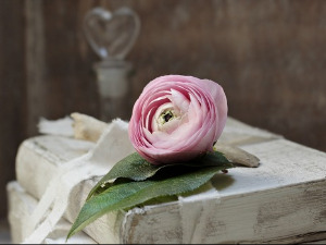  У друштву песника - Песме Флорике Штефана - Милена Шишкин 