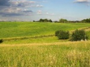 Облачно, ветровито и још топлије, увече краткотрајни пљускови