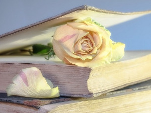 У друштву песника - Песме Карла Сандберга - Бранислав Јеринић 