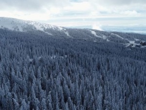 Пао први снег на Копаонику