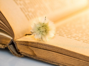 У друштву песника - Песме o Нибелунзима - Светислав Вуковић 