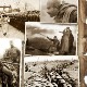 Српска штампа 1914-1915: Штампа гасне, 4-4	