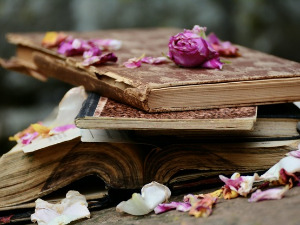 У друштву песника - Песме Радована Павловског - Драган Петровић